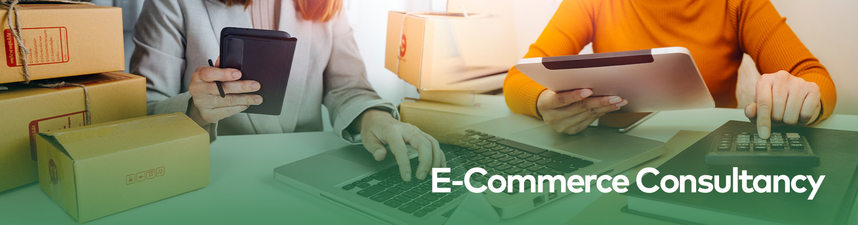 E-Commerce Consultancy